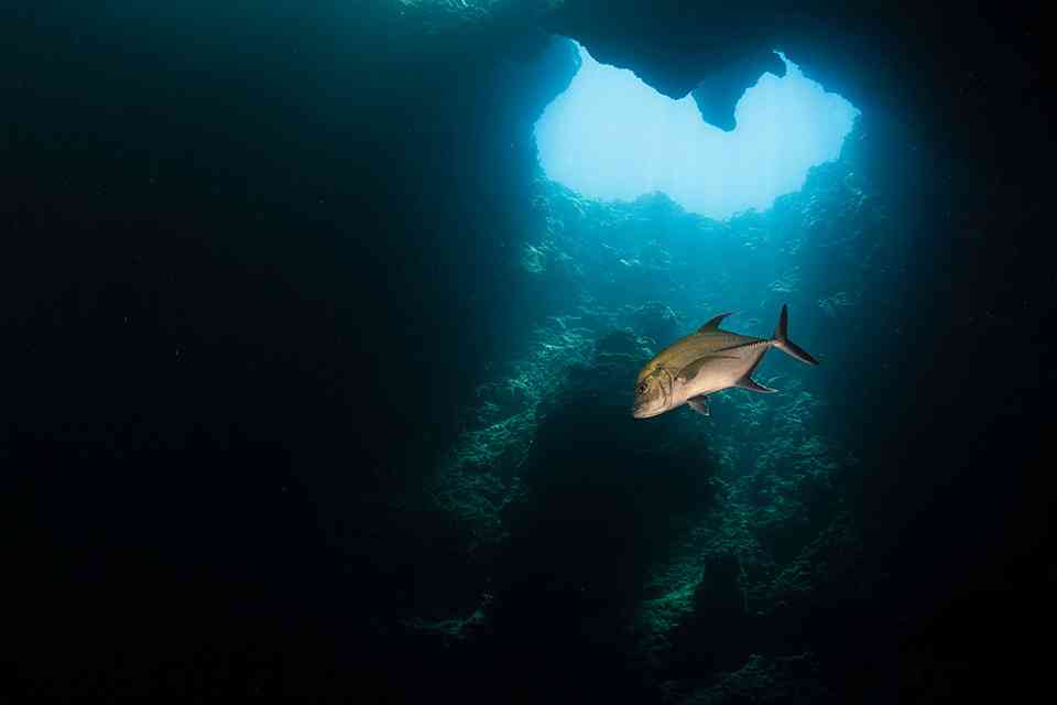 ETA i Storbritannia for palauiske borgere featured image